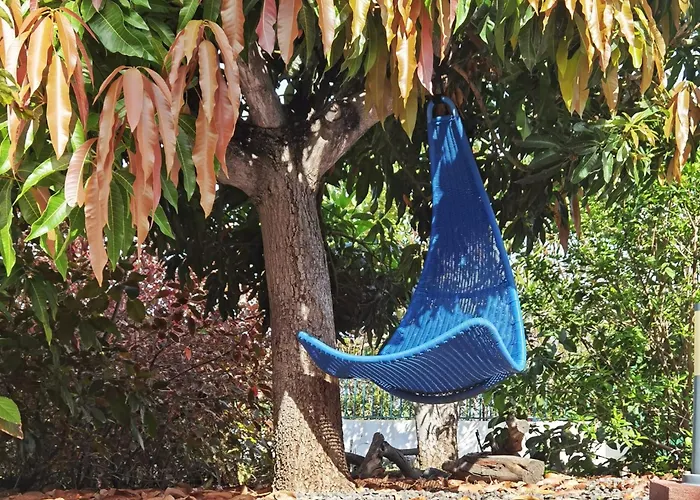 Casa Aloe