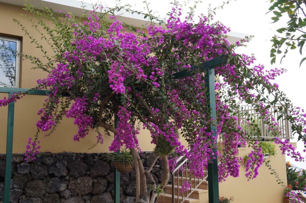 Casa Aloe Holiday home *