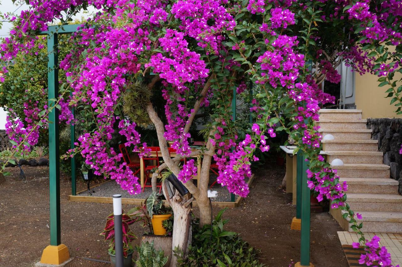 Casa Aloe Holiday home